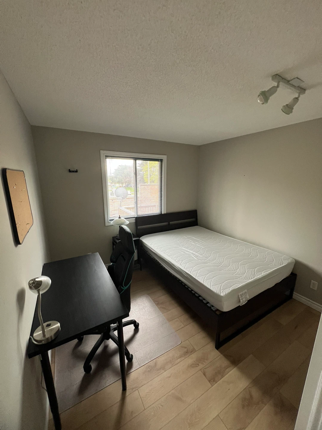 Weekly or Monthly Room for rent in London, Ontario - photo 2