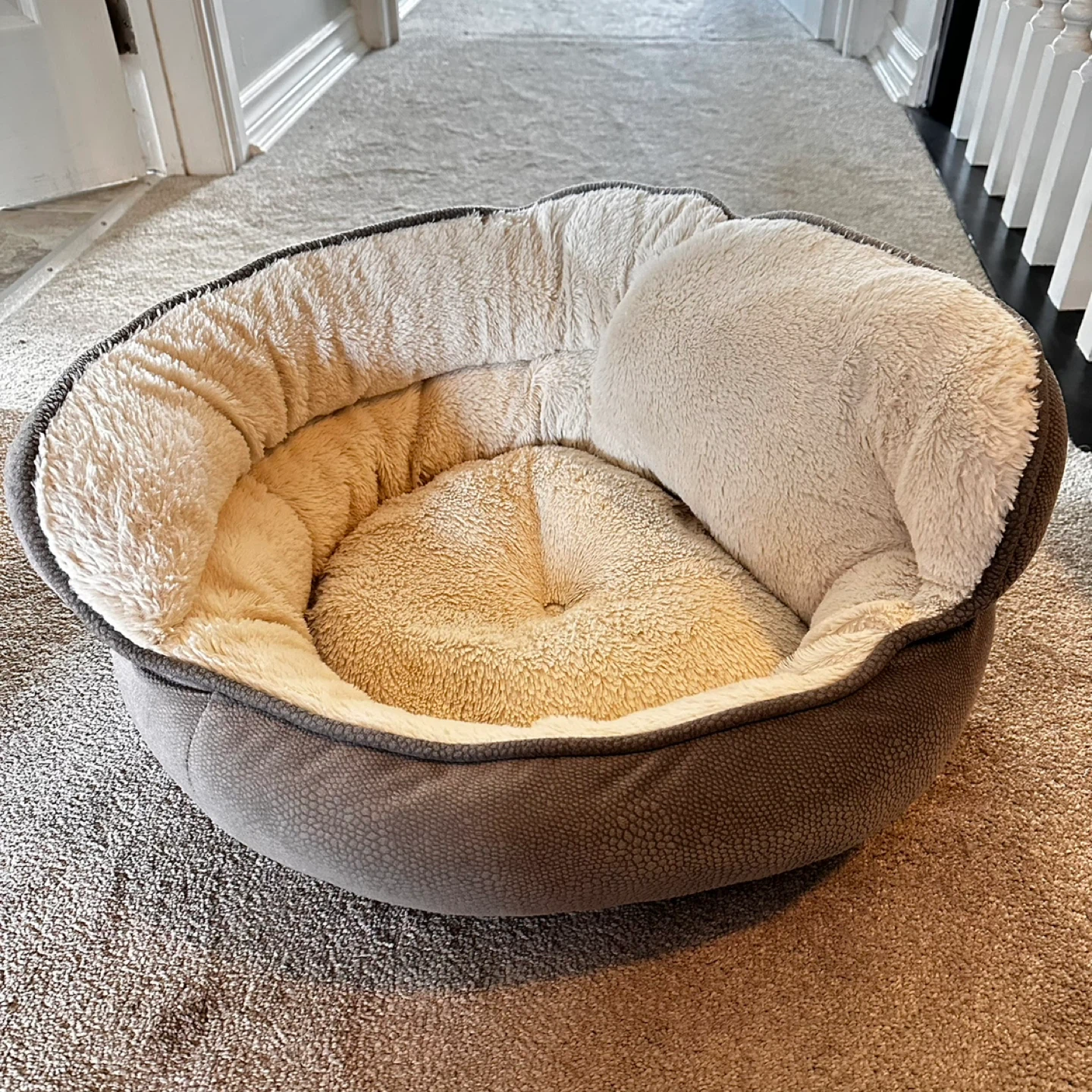 Plush Pet Bed