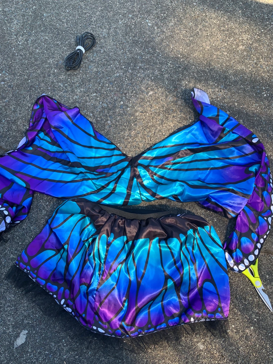 Butterfly Wings Costume Set