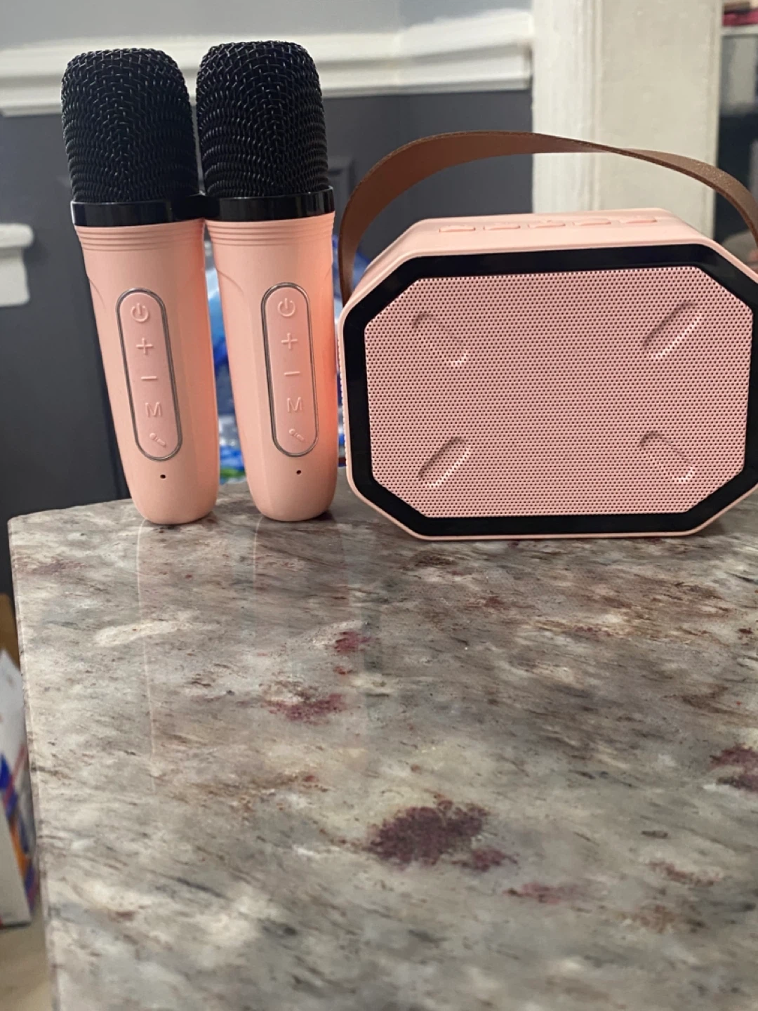 Pink Karaoke Microphone and Speaker Set
