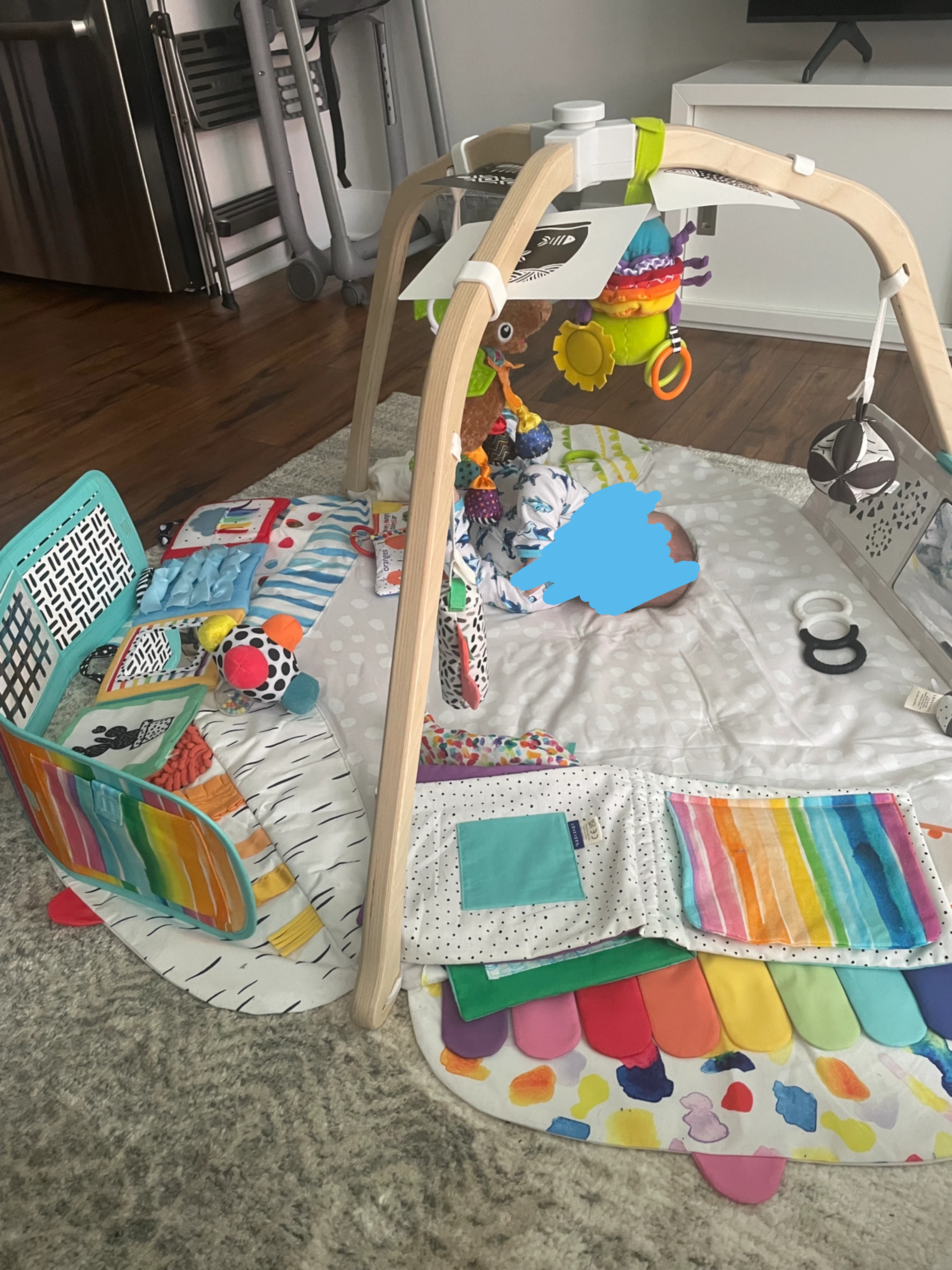 Lovevery Play Gym with Accessories