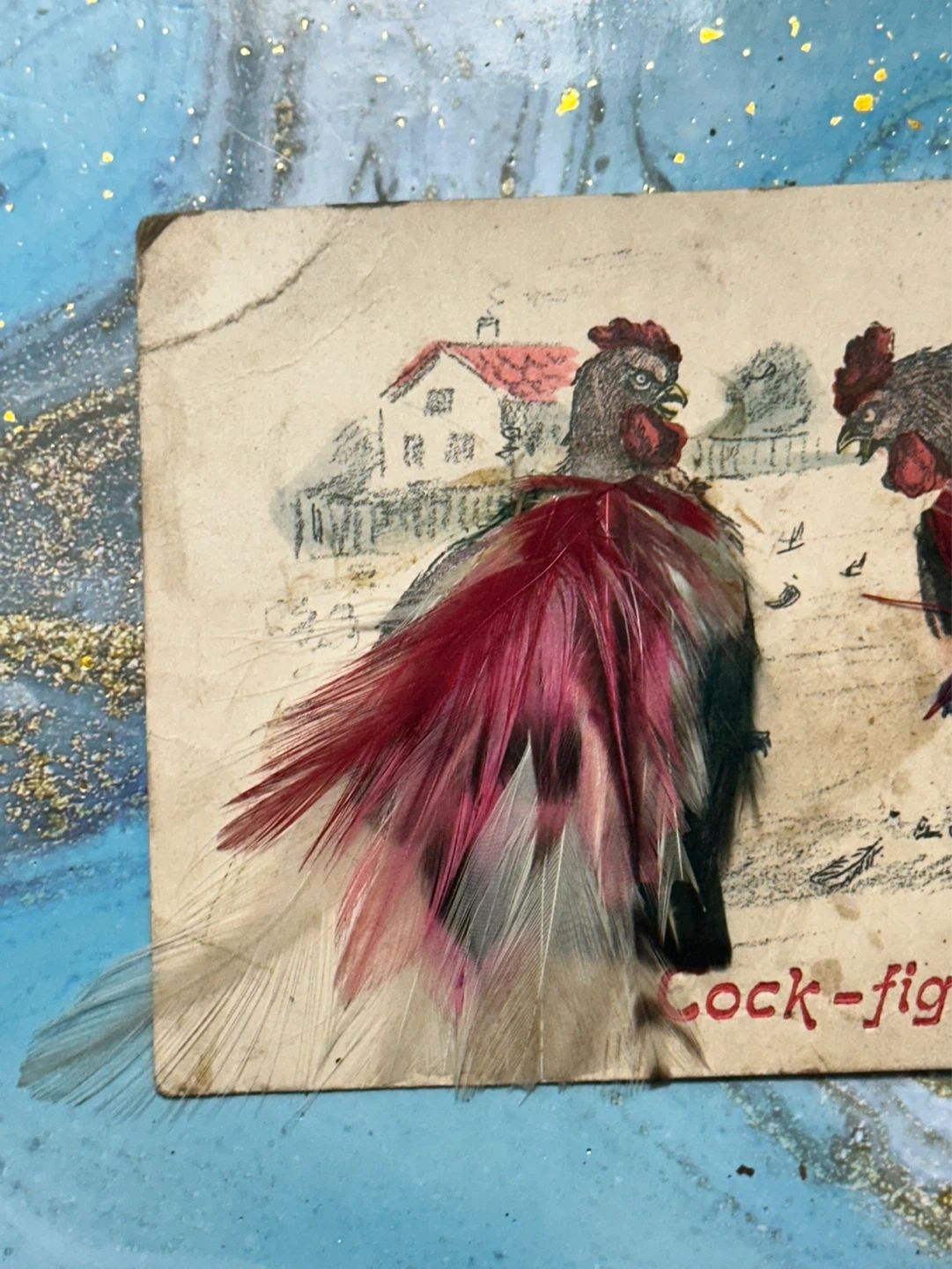 Rare antique Cock Fighting Postcard with real feathers - photo 2
