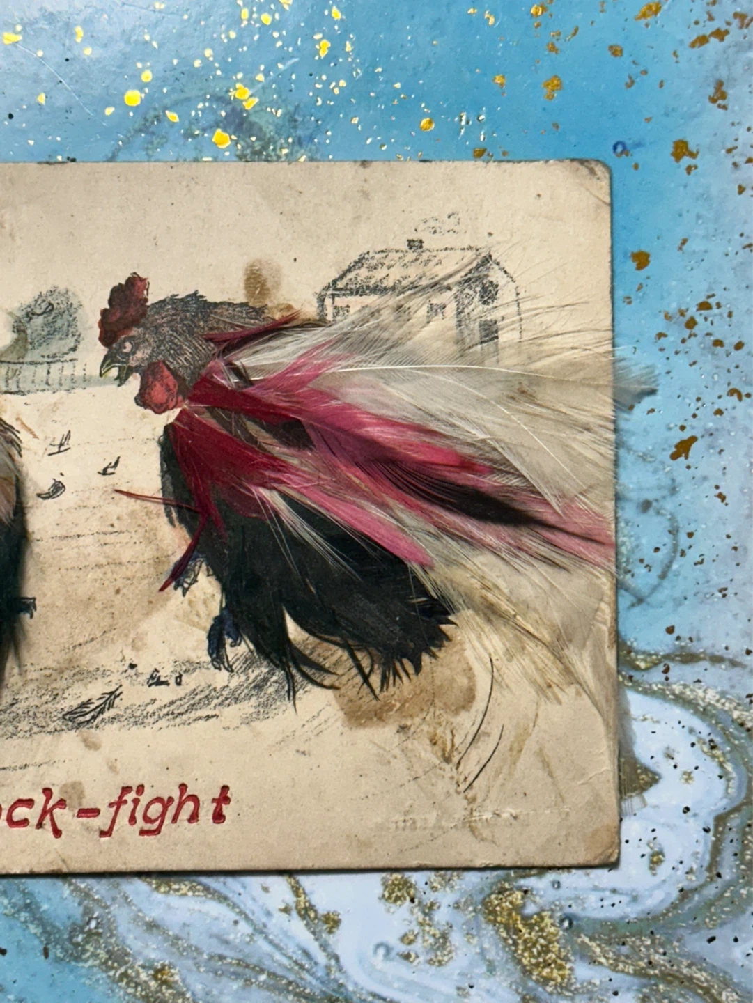 Rare antique Cock Fighting Postcard with real feathers - photo 3