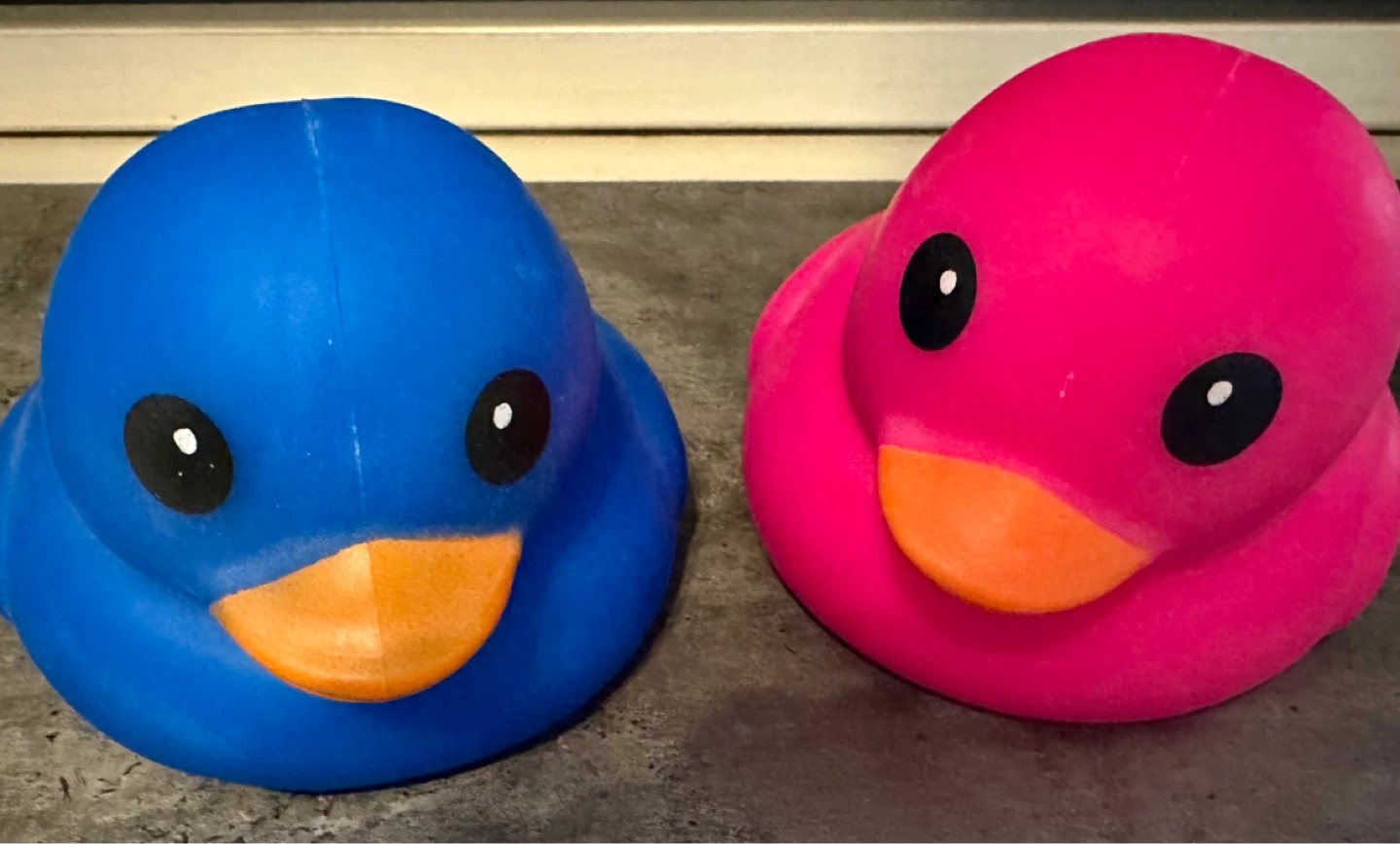 Squishy Ducks