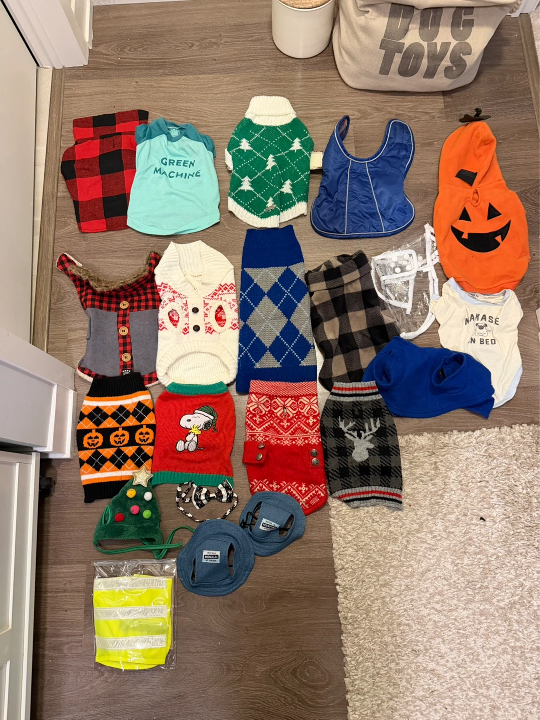 Small dog sweaters and treat makers, toy bin, canister