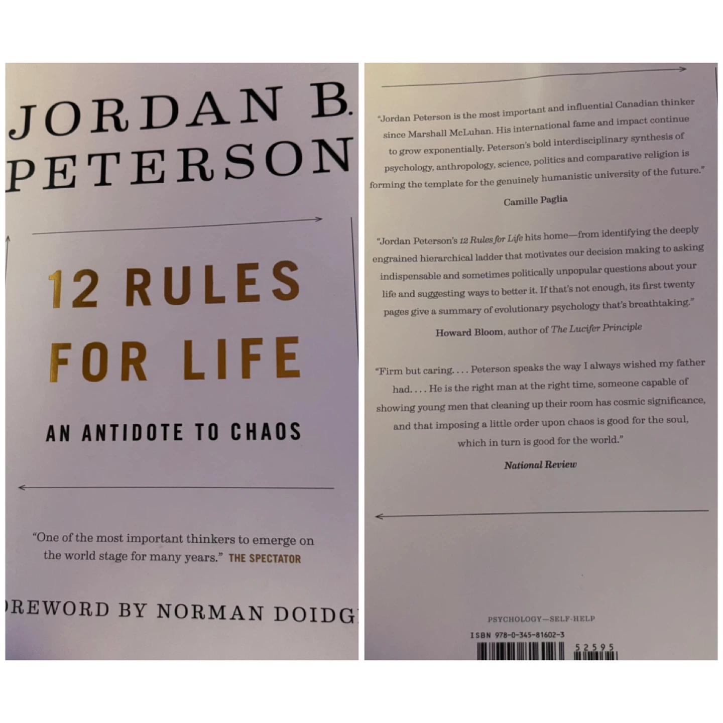 “12 Rules For Life: An Antidote To Chaos”