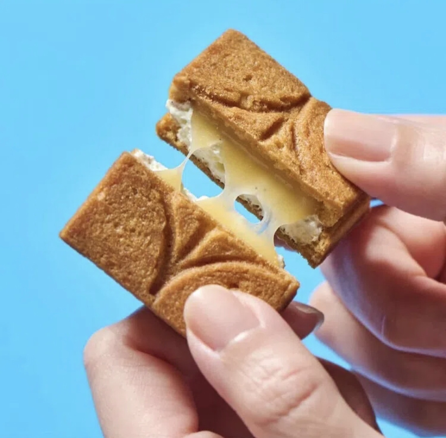 Japanese Cookies-Vanilla Coconut + ✨FREE Japanese Treats! - photo 4