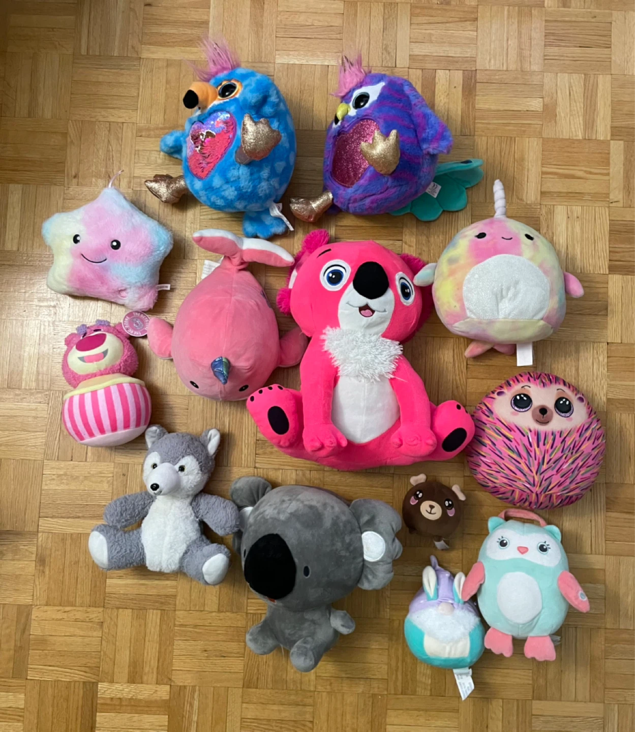 40$ everything, Collection of Plush Toys