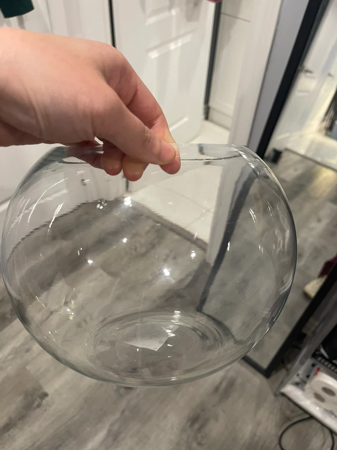 Clear Glass Sphere Bowl
