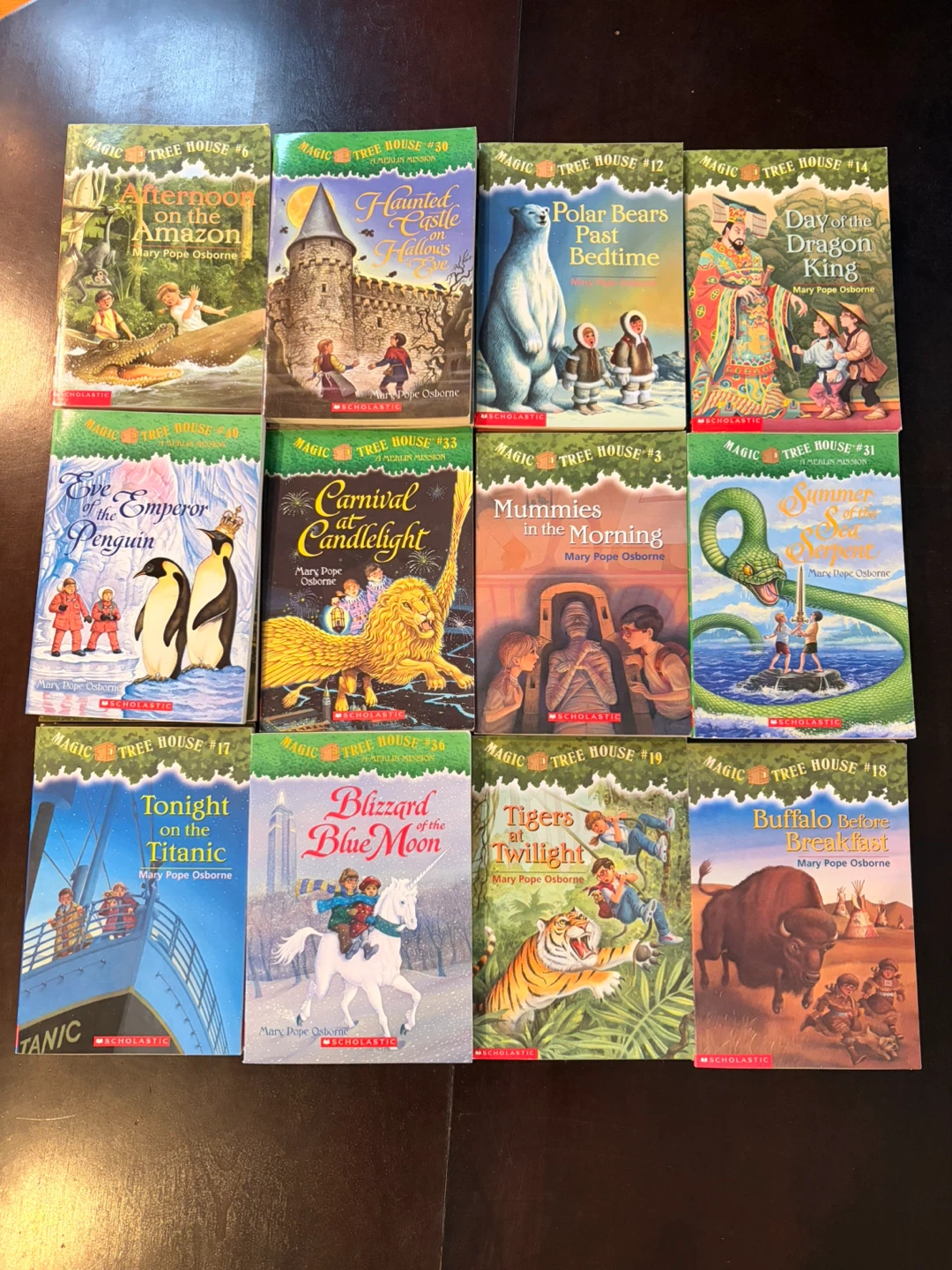 Magic Tree House Books - Mary Pope Osborne