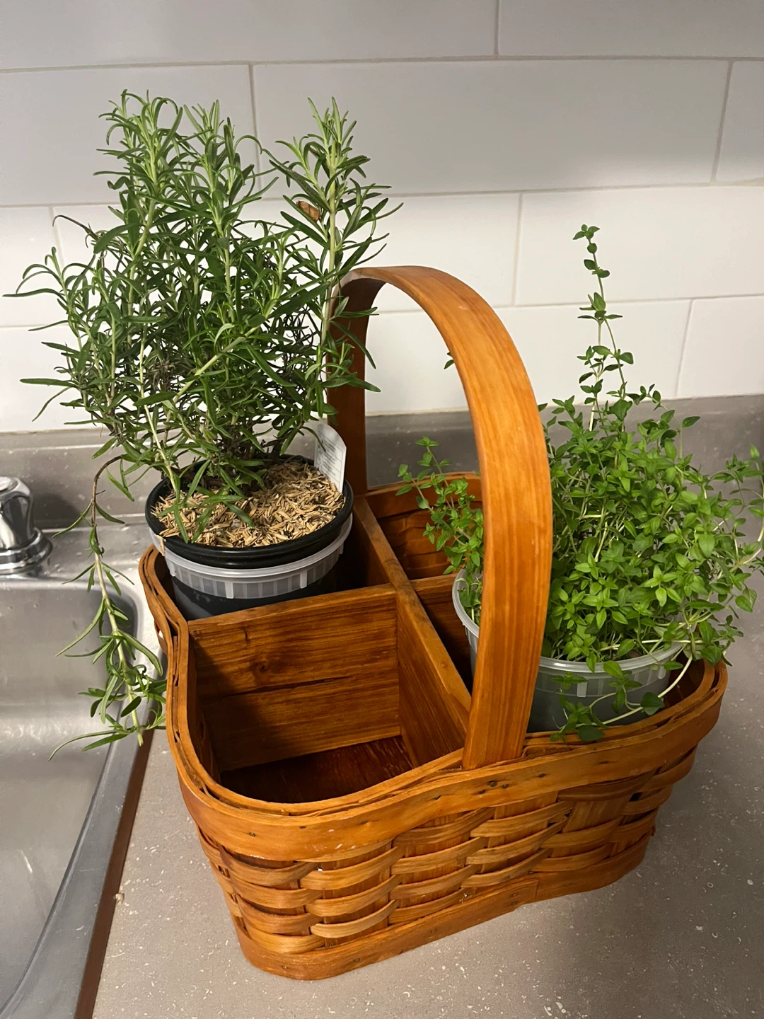 Herb /with Rosemary and Thyme