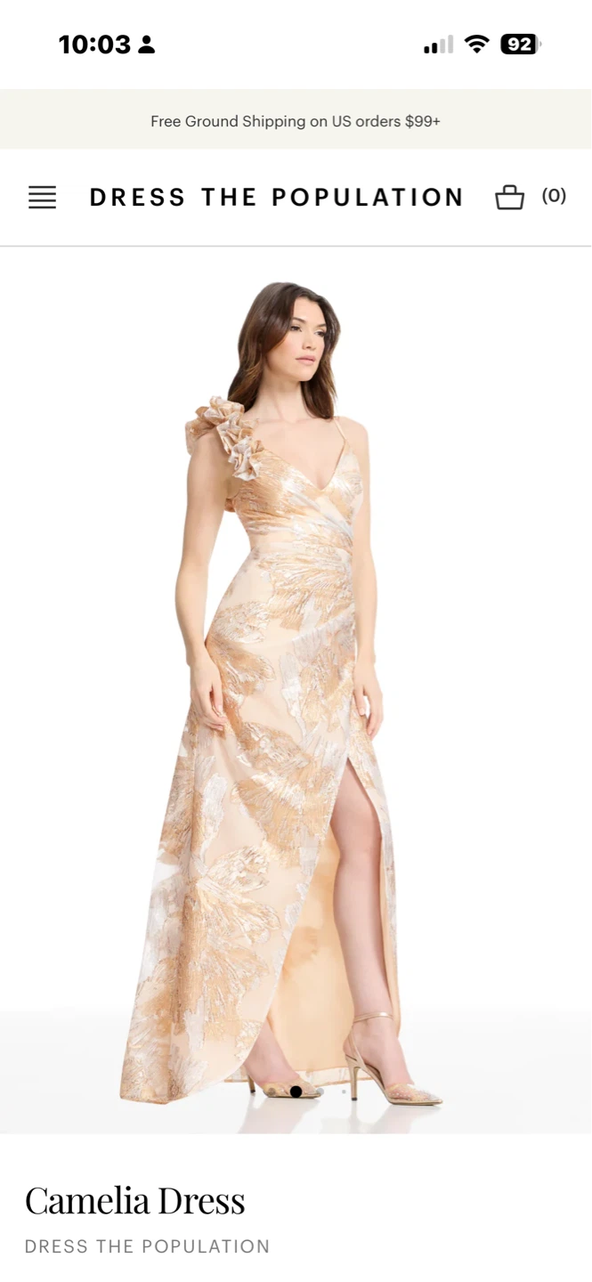 Dress The Population Camelia Dress