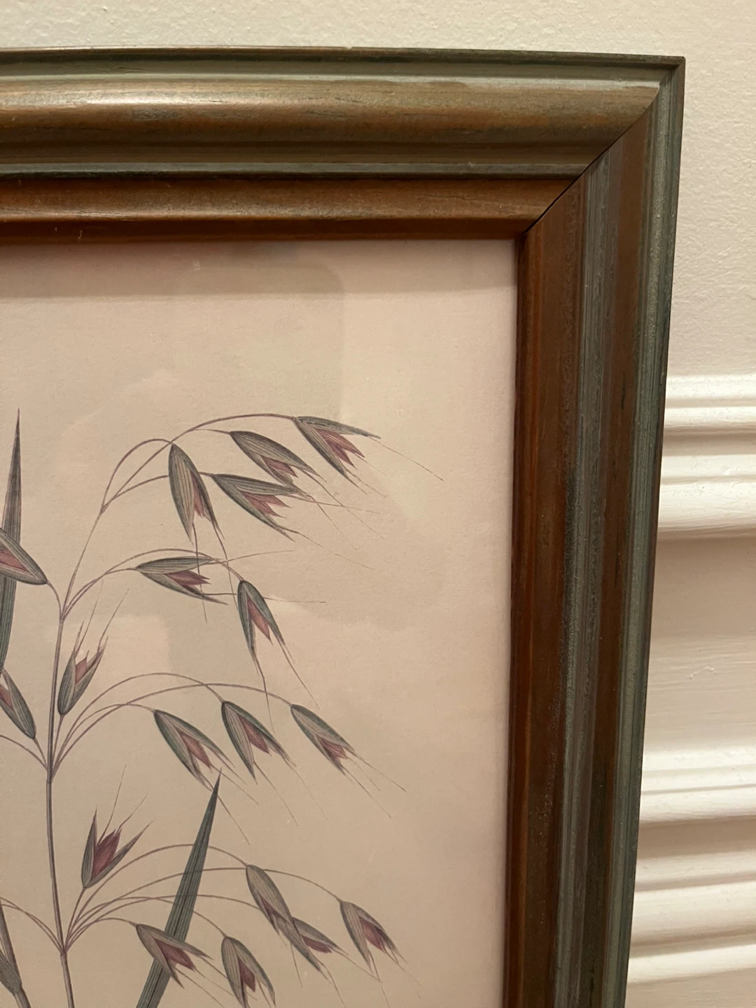 Framed Botanical Prints - Fern & Oats - photo 2