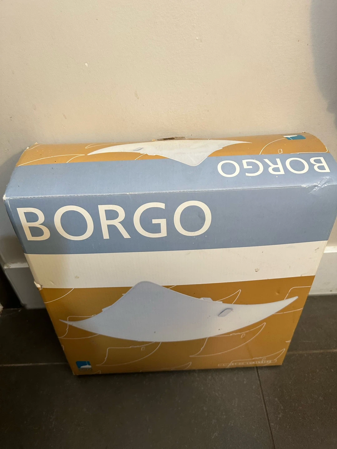 Eglo Borgo 1 Light Fixture