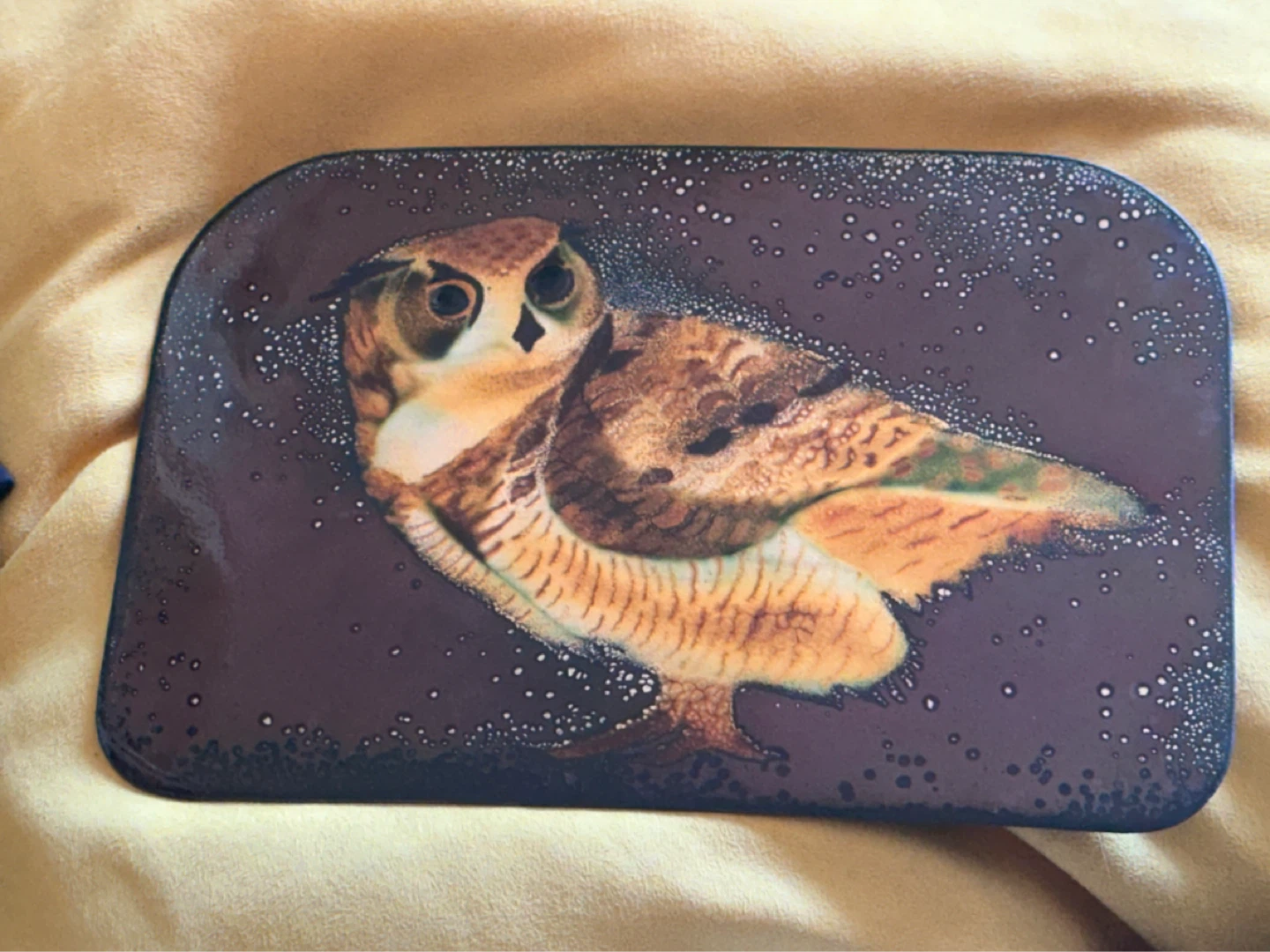 Mid century copper enamel owl plaque EREN canada 1972