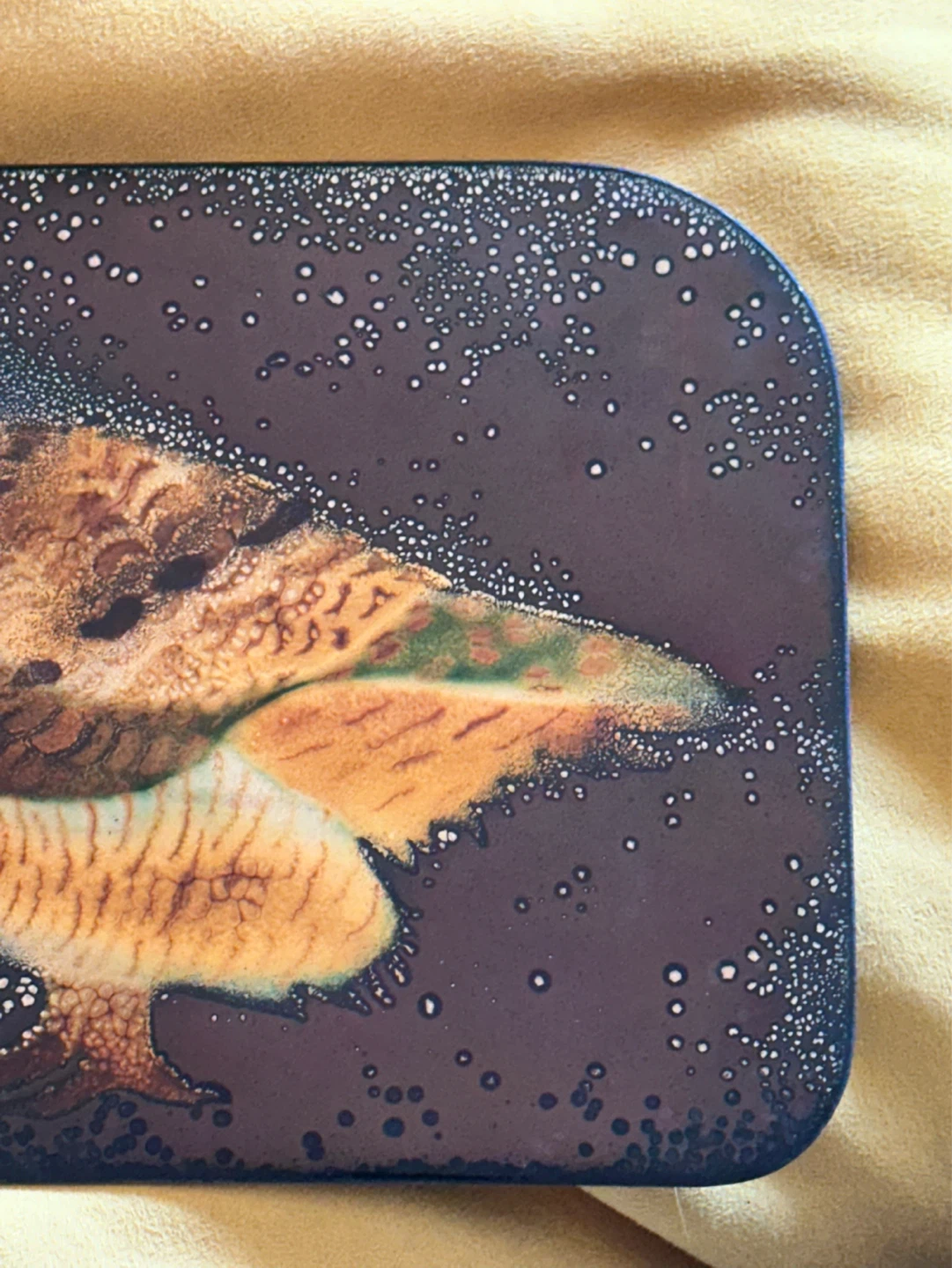 Mid century copper enamel owl plaque EREN canada 1972 - photo 3