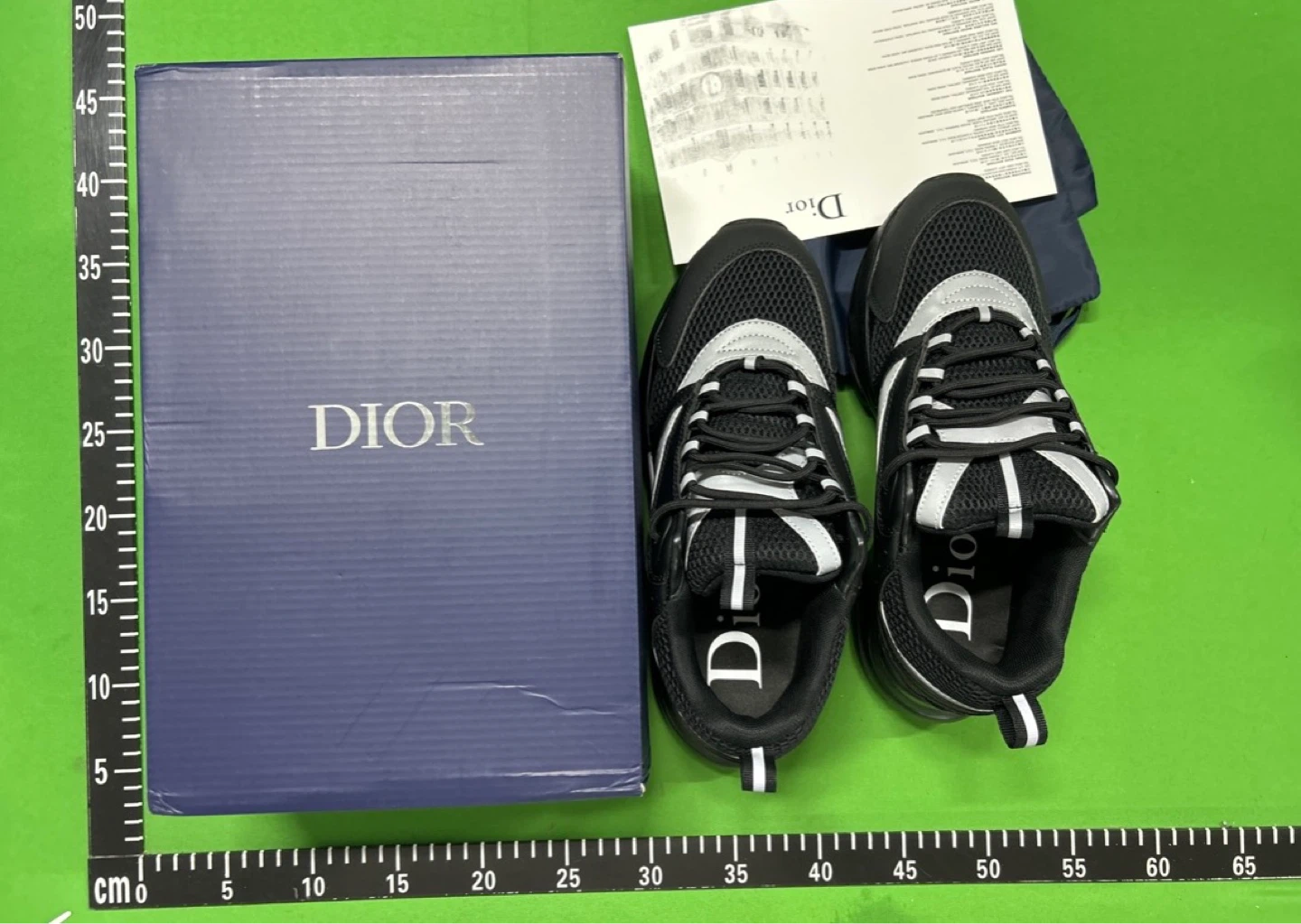 Dior B22 High-Top Sneakers