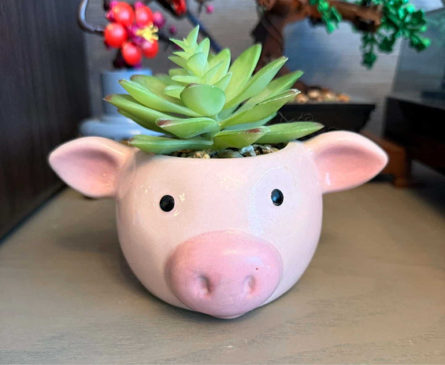 Pink Pig Ceramic Planter with Succulent