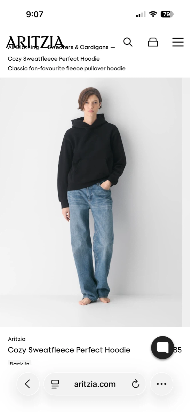 Aritzia Cozy Sweatfleece Perfect Hoodie