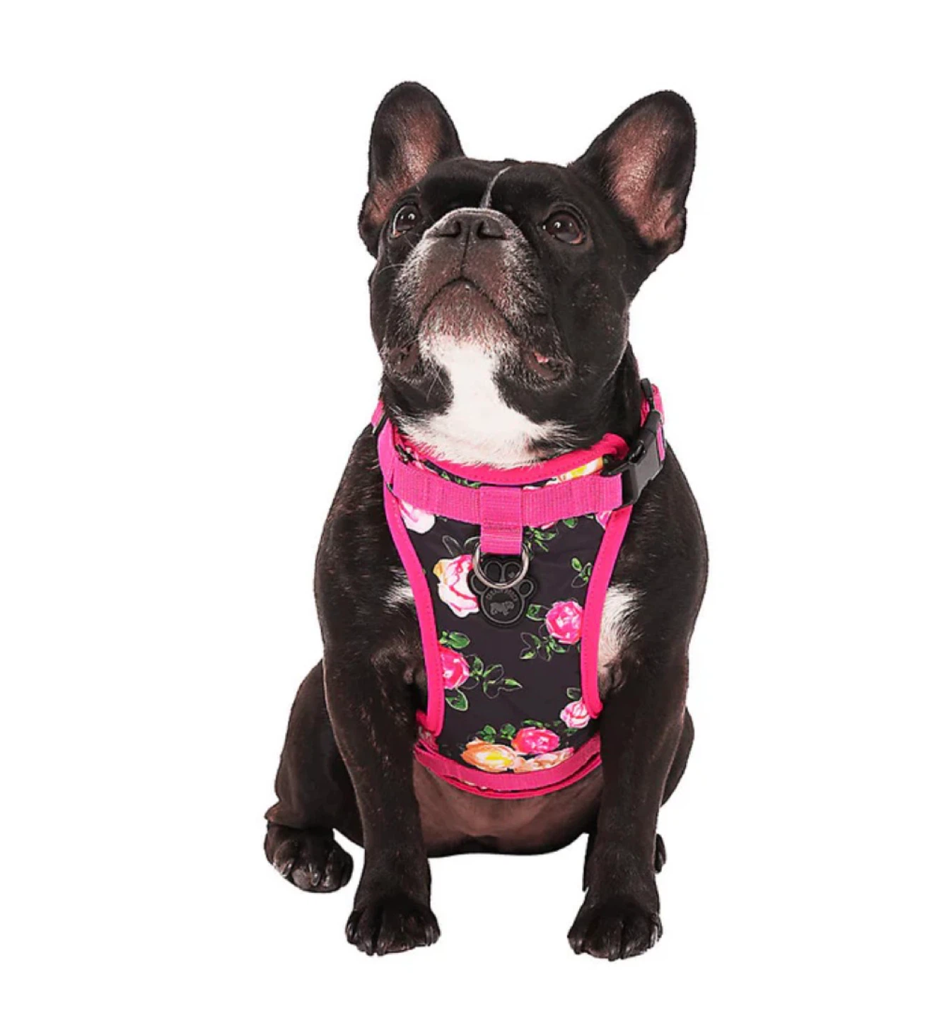Canada Pooch Everything Water-Resistant No-Pull Dog Harness