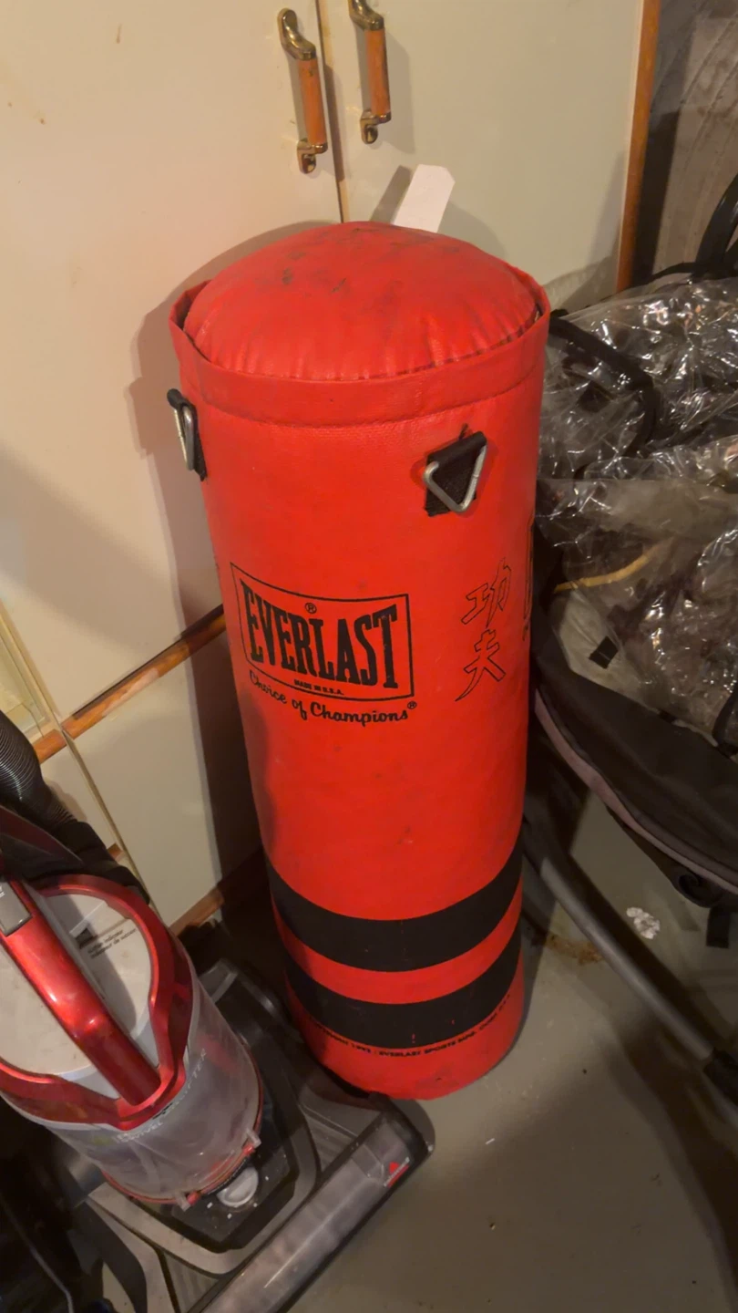 Everlast Punching Bag - photo 2