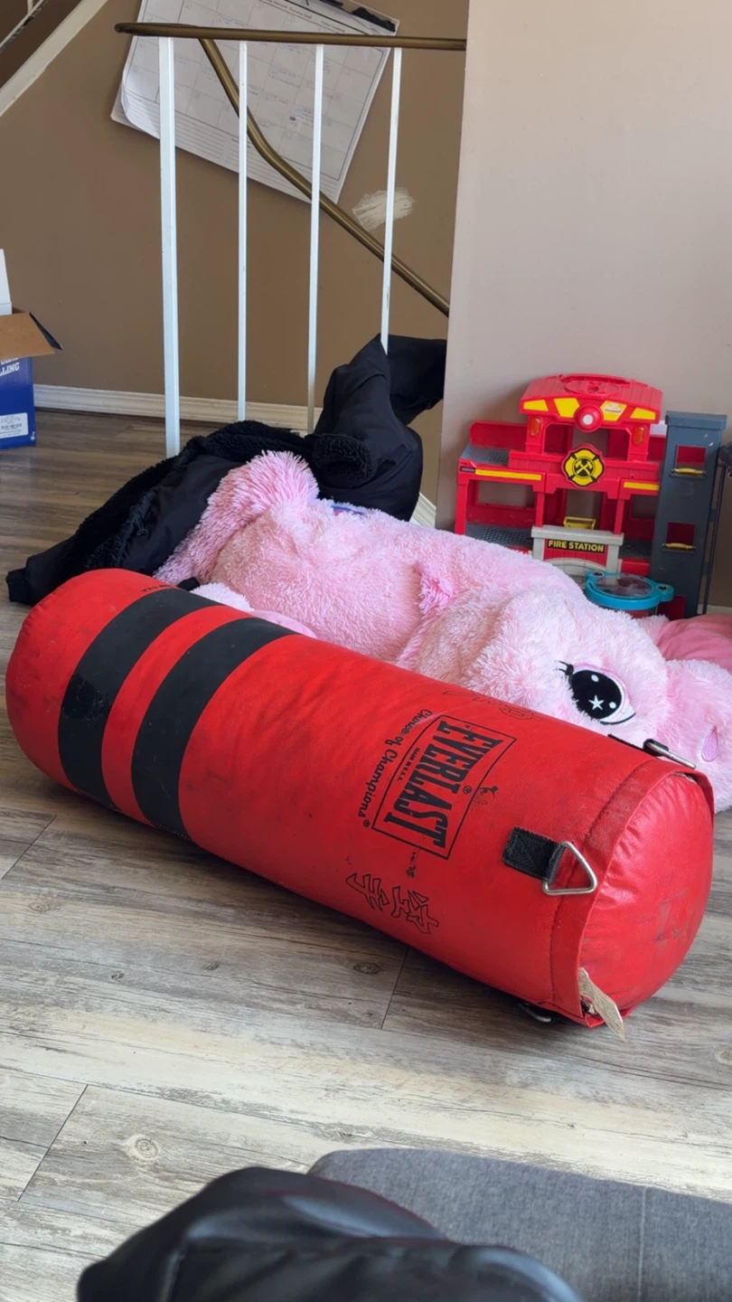 Everlast Punching Bag