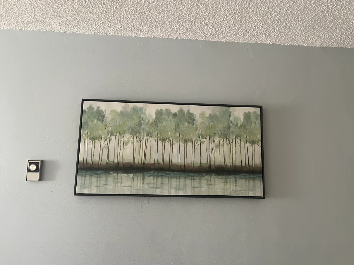 Framed Canvas Wall Art - Birch Trees and Water