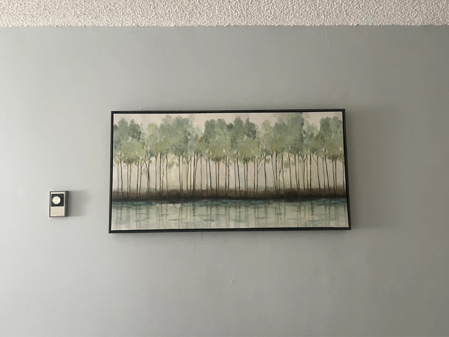Framed Canvas Wall Art - Birch Trees and Water - photo 2