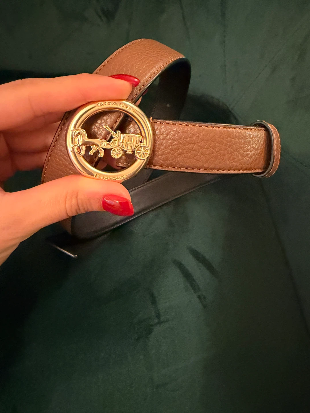 Coach belt