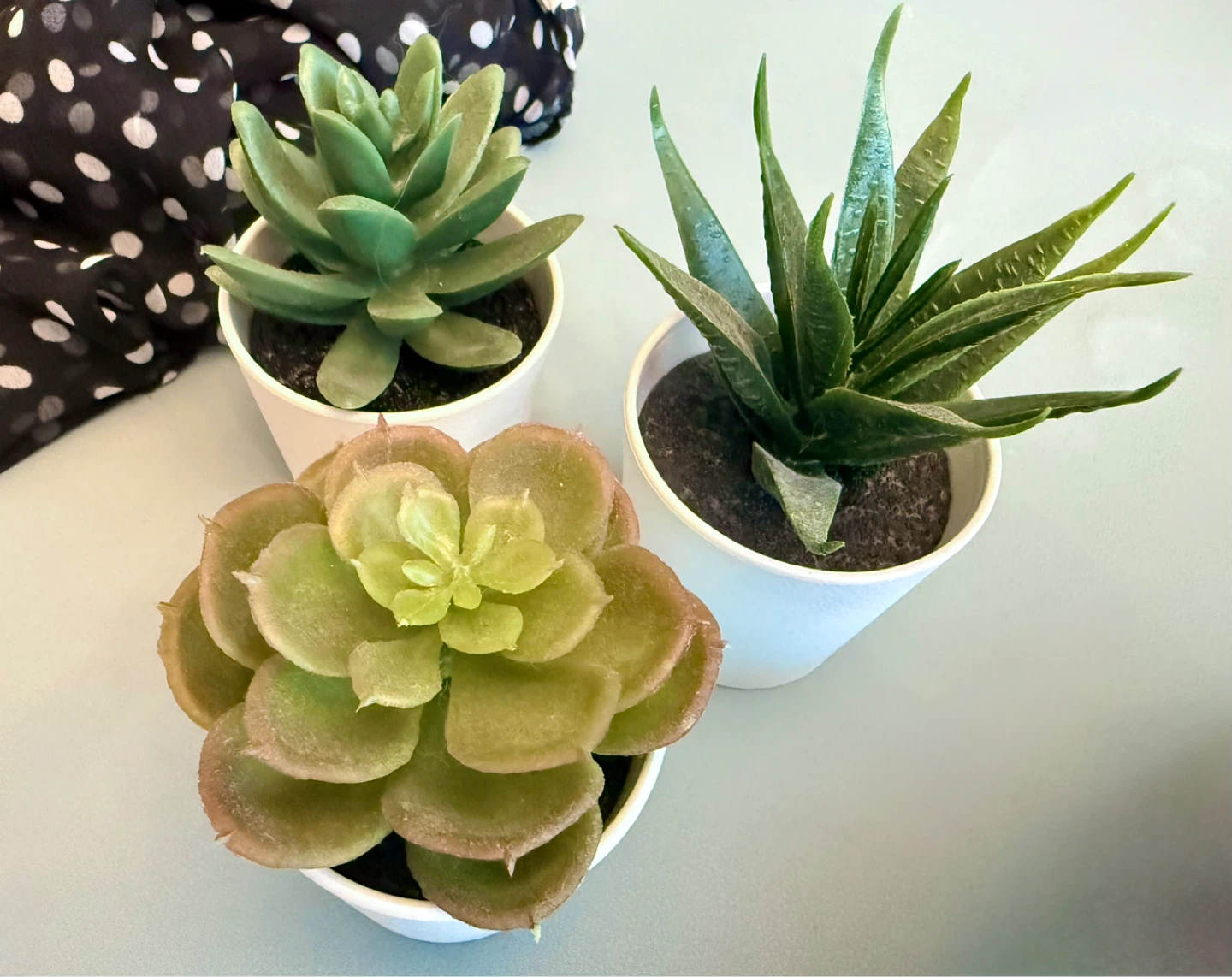 Set of 3 Artificial Succulents in White Pots