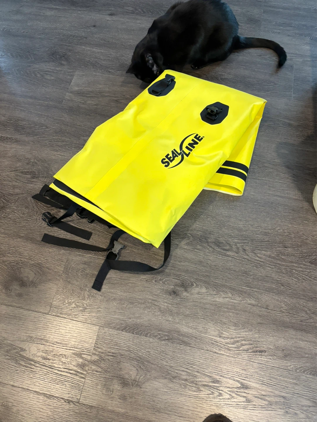 Sealine backpack 115L - photo 2