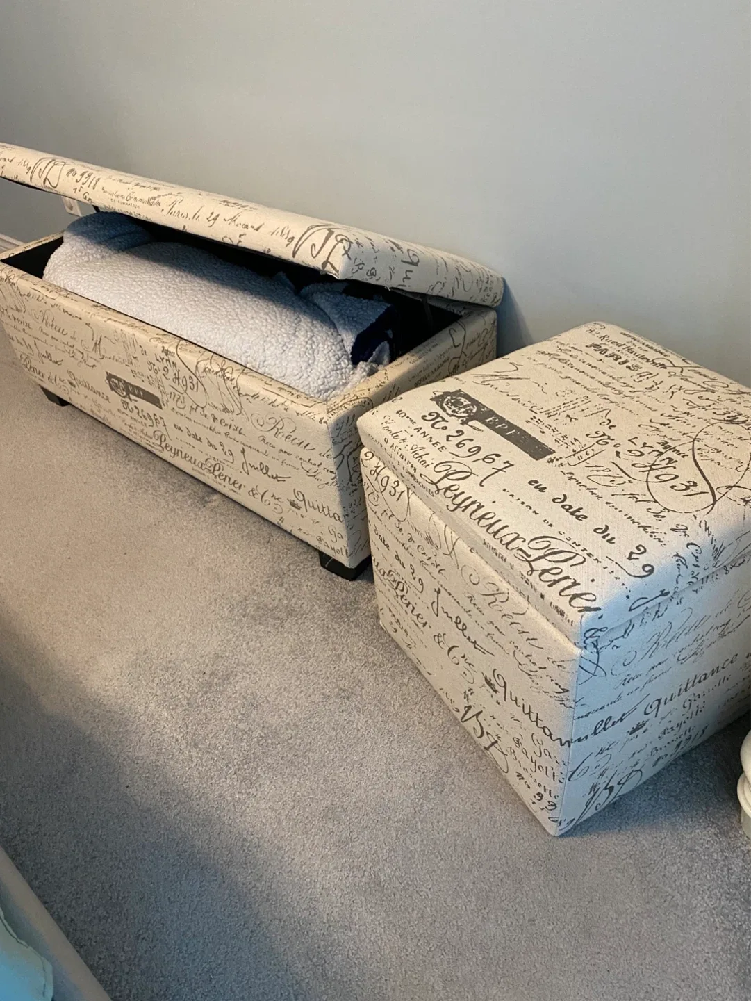 Storage Ottoman Bench set with French Script Design - photo 3
