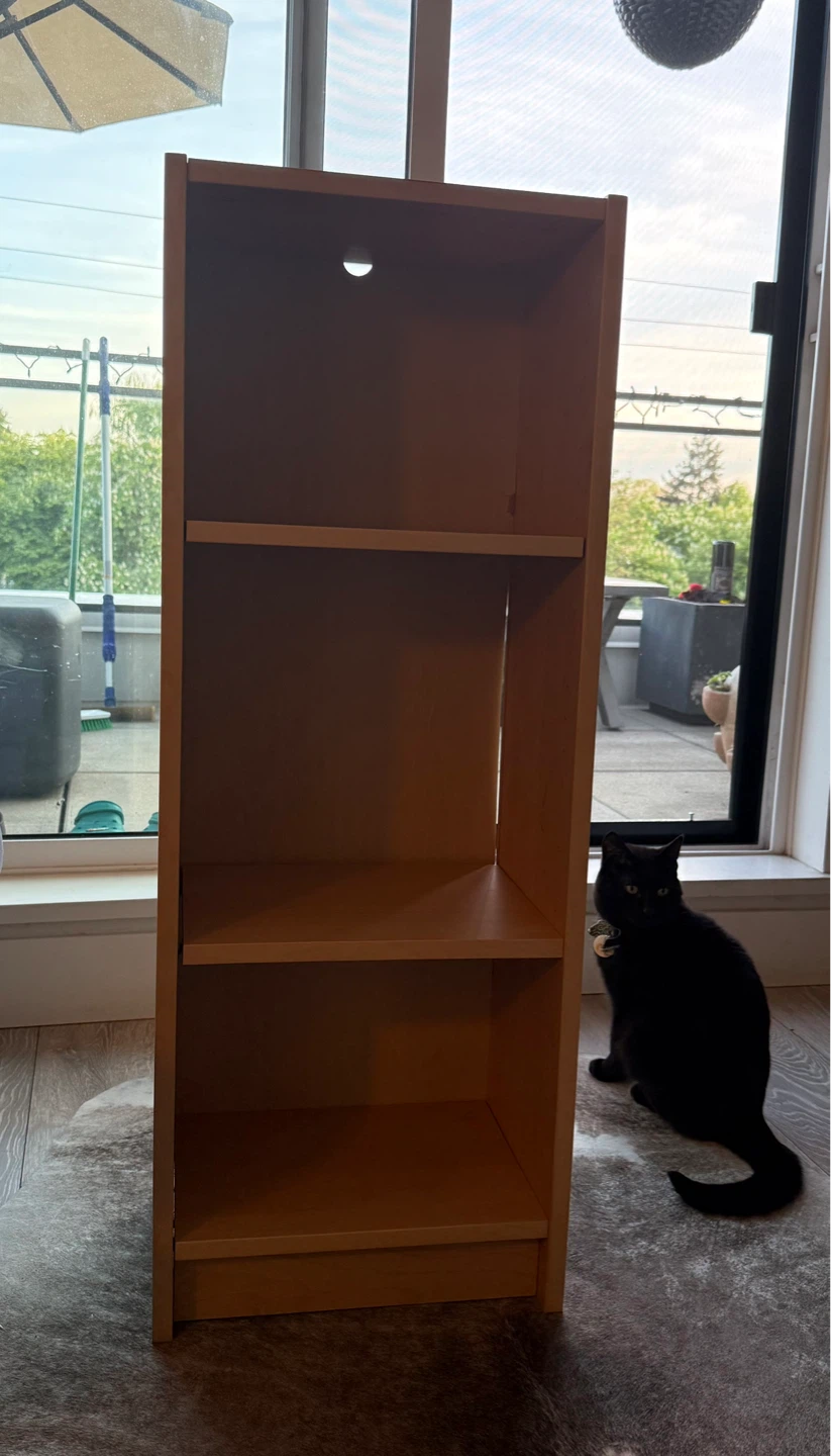 IKEA BILLY bookcase