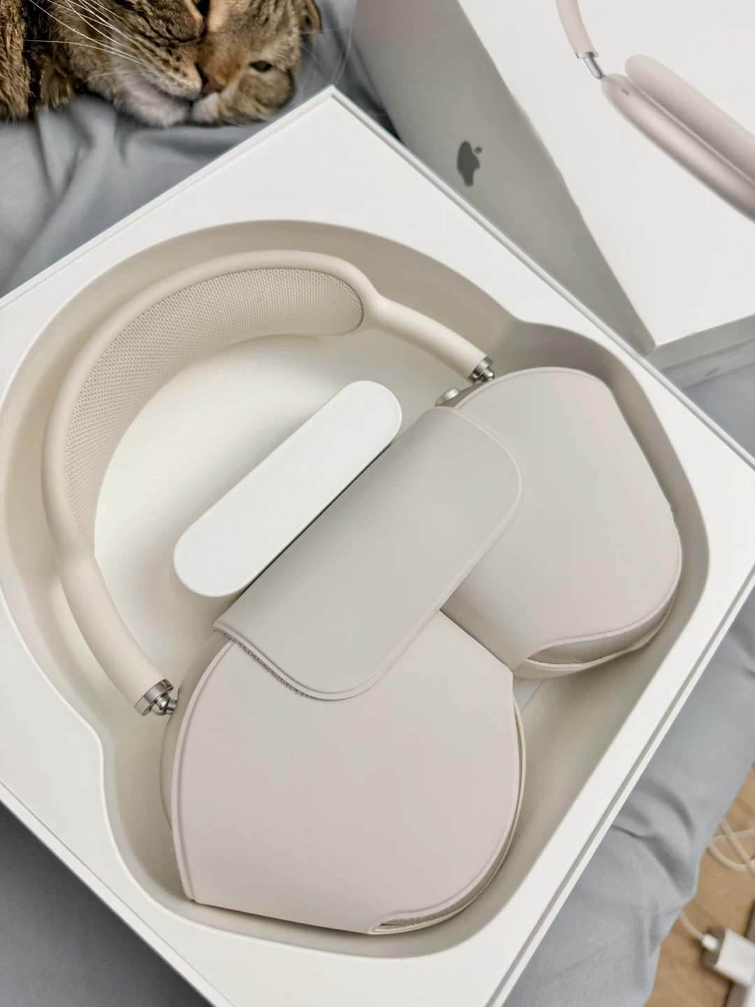 Apple AirPods Max (Starlight) - photo 3