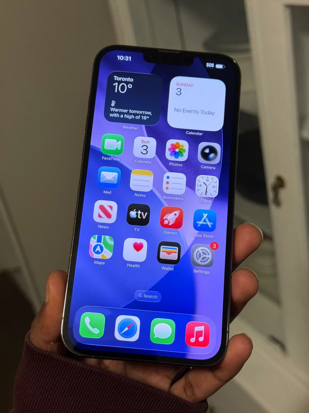 iPhone 13 Pro Max