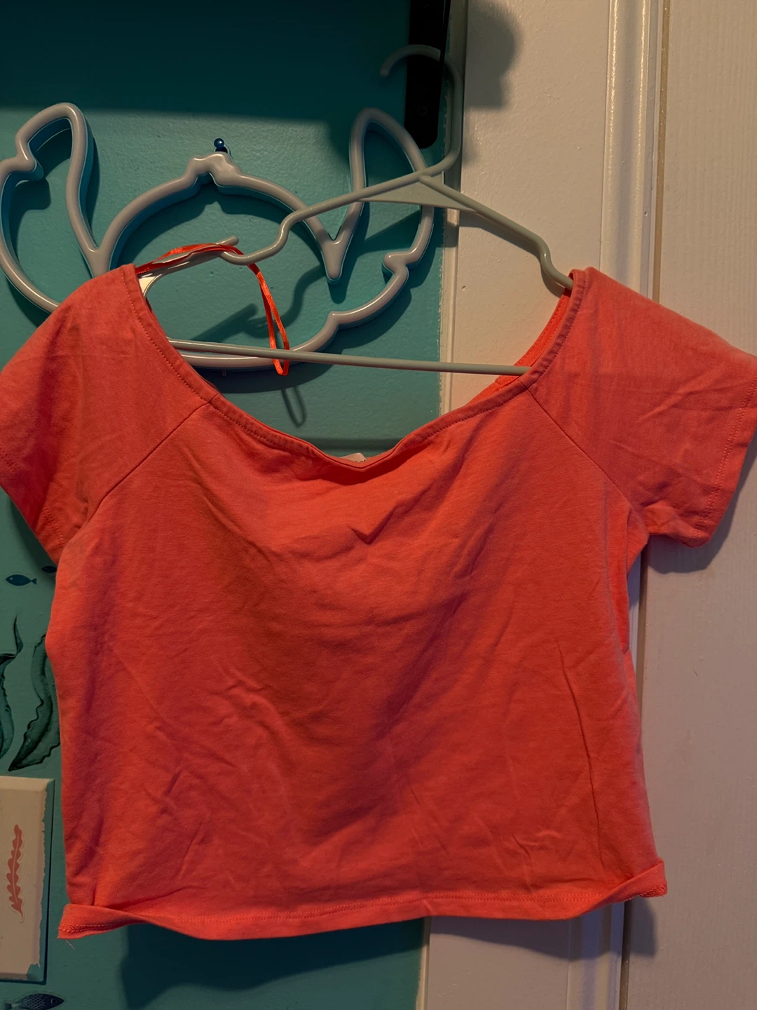 Ambiance Apparel Coral Cropped Top - Size L