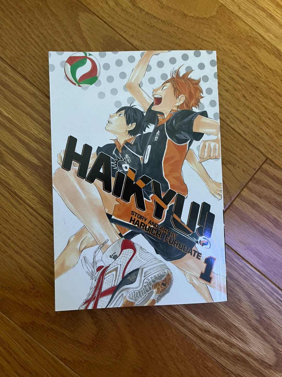 Haikyu!!, Vol. 1 Manga