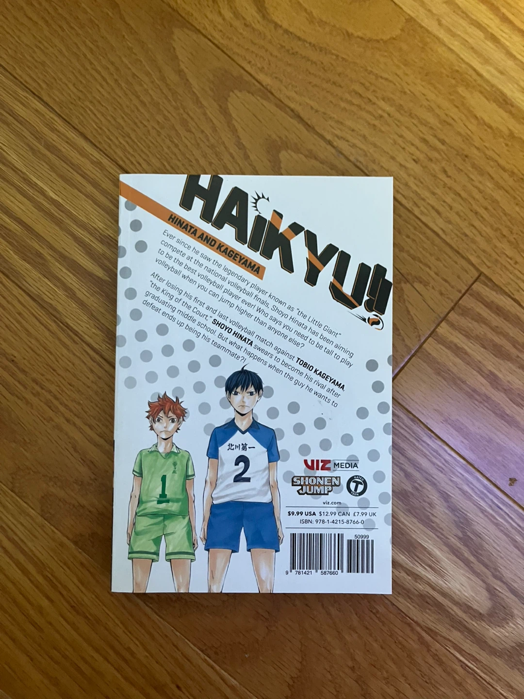 Haikyu!!, Vol. 1 Manga - photo 3