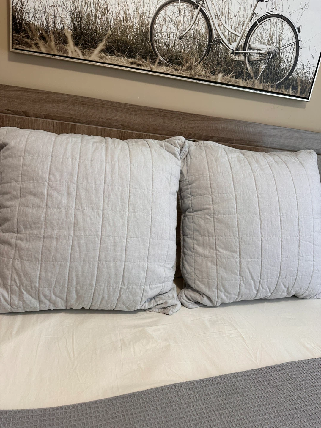 Euro pillows  brand new