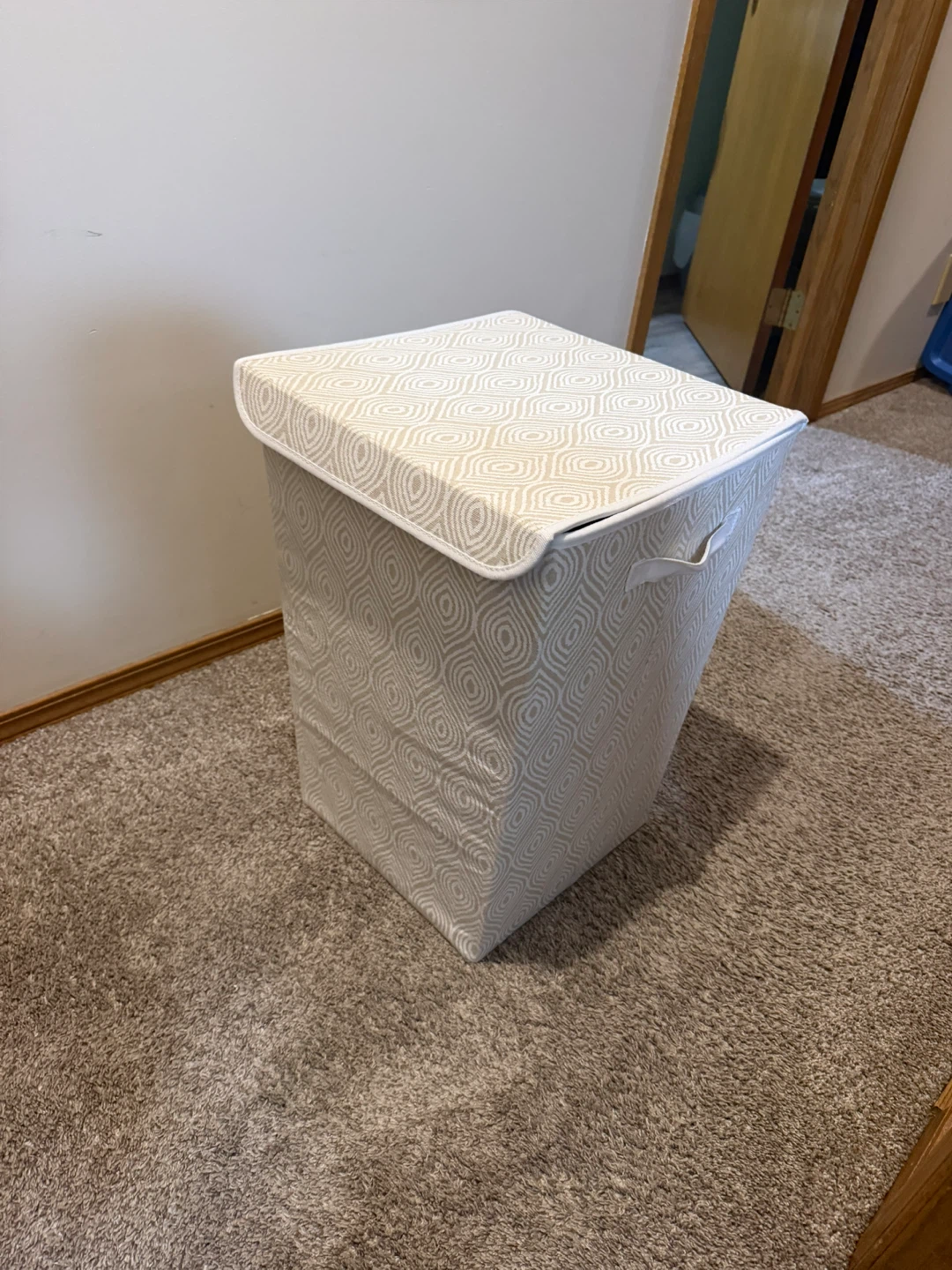 Fabric Laundry Hamper with Lid