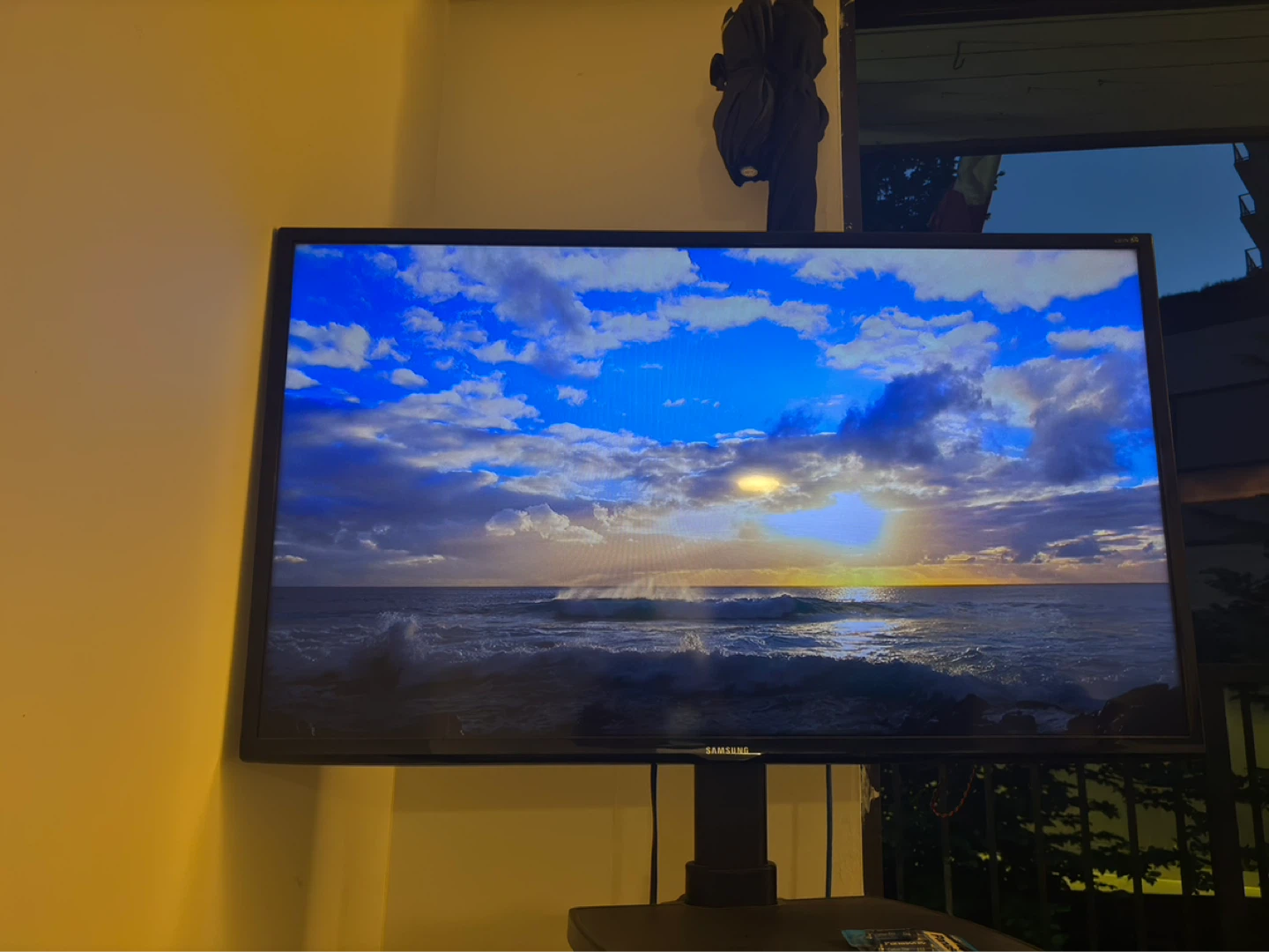Samsung Monitor TS01