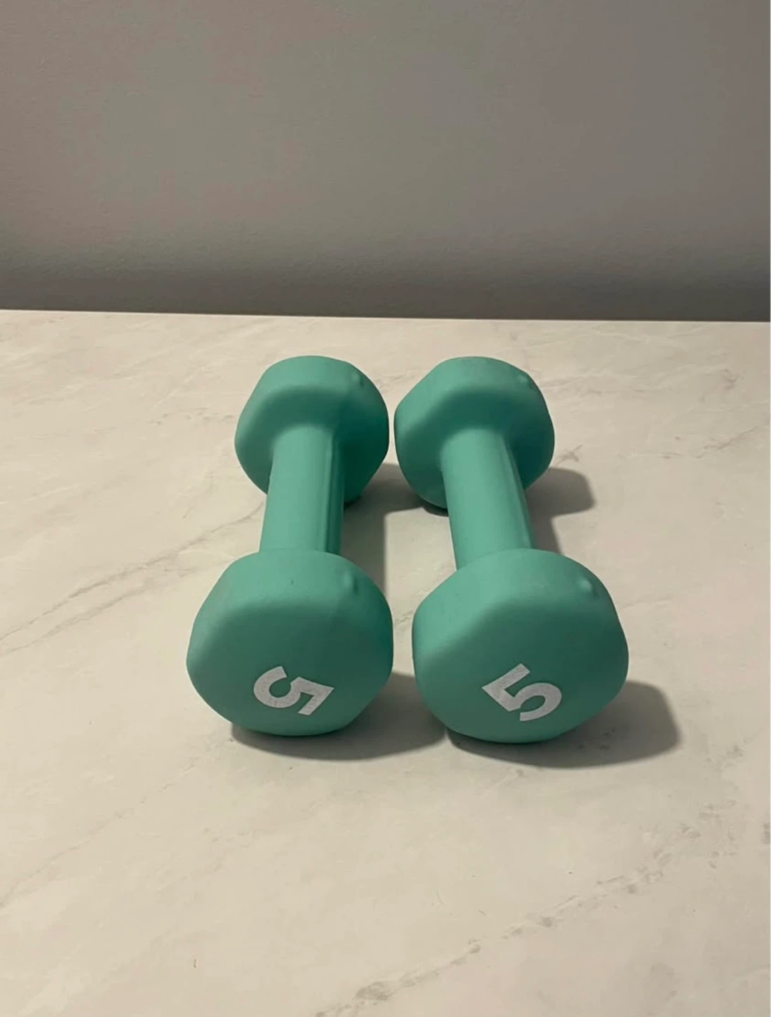 Pair of 5lb Dumbbells