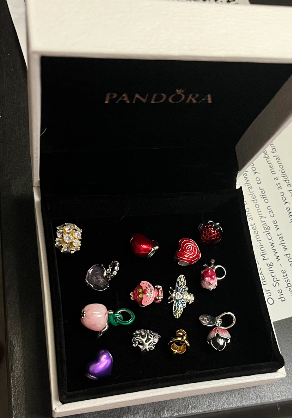 Pandora Charm Bracelet with Multiple Charms