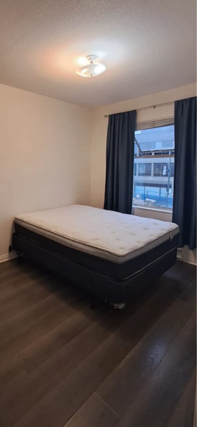 Double Mattress and Box Spring Set