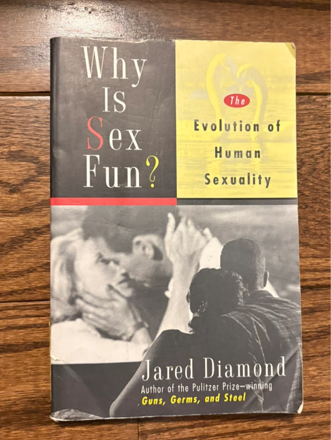 $1 - “Why is sex fun” book