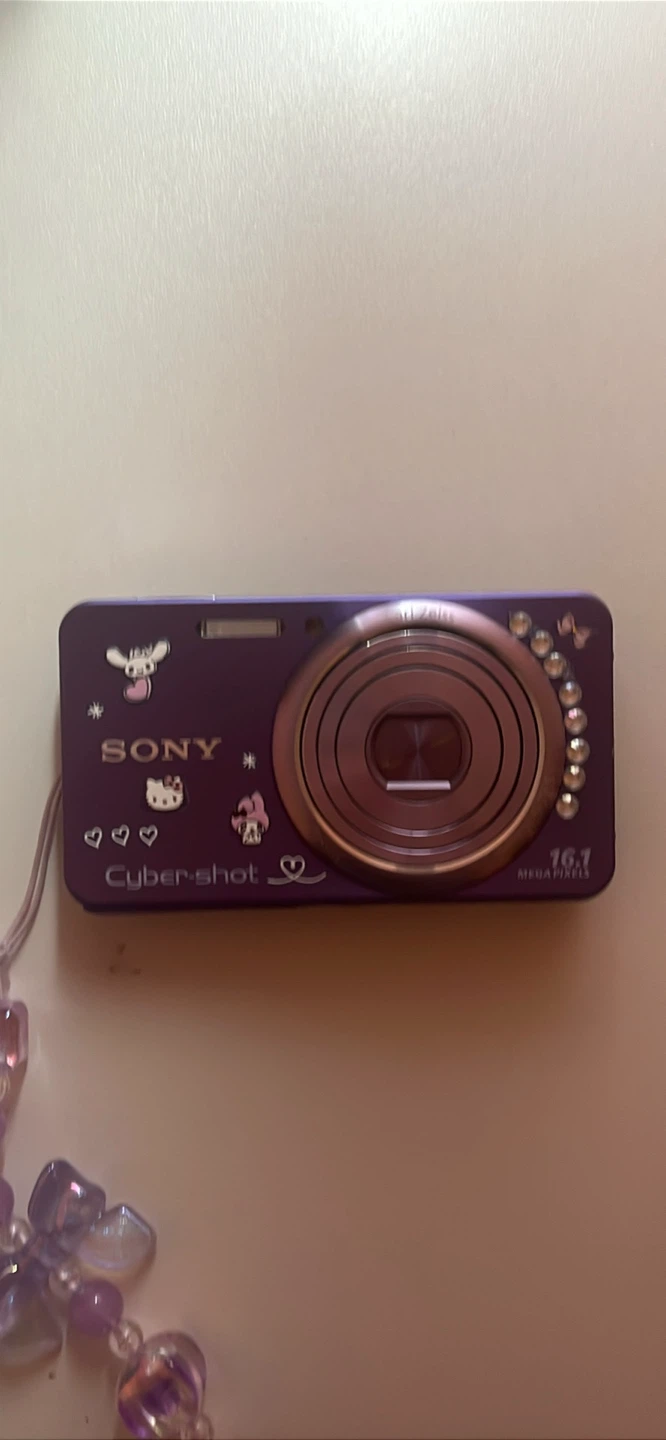 Sony Cyber-shot Digital Camera DSC W570