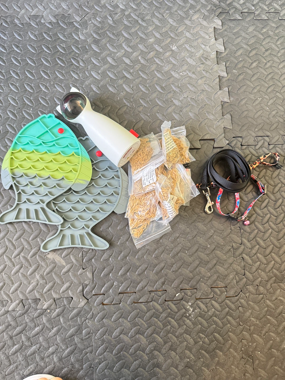 Cat Laser Toy, Fish Mat, and Leash Set