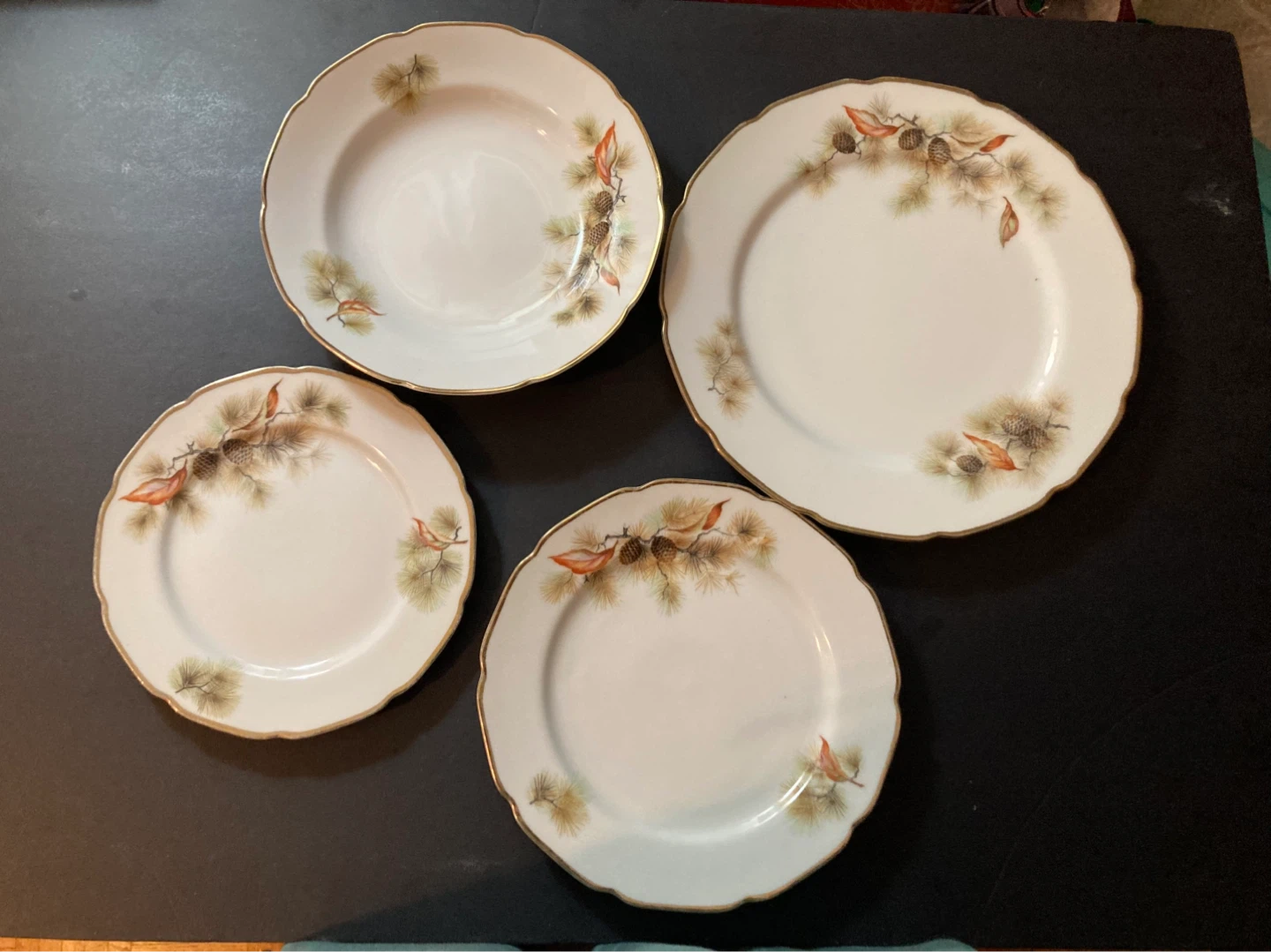 Pine Tree Fine Translucent China Plates - photo 3