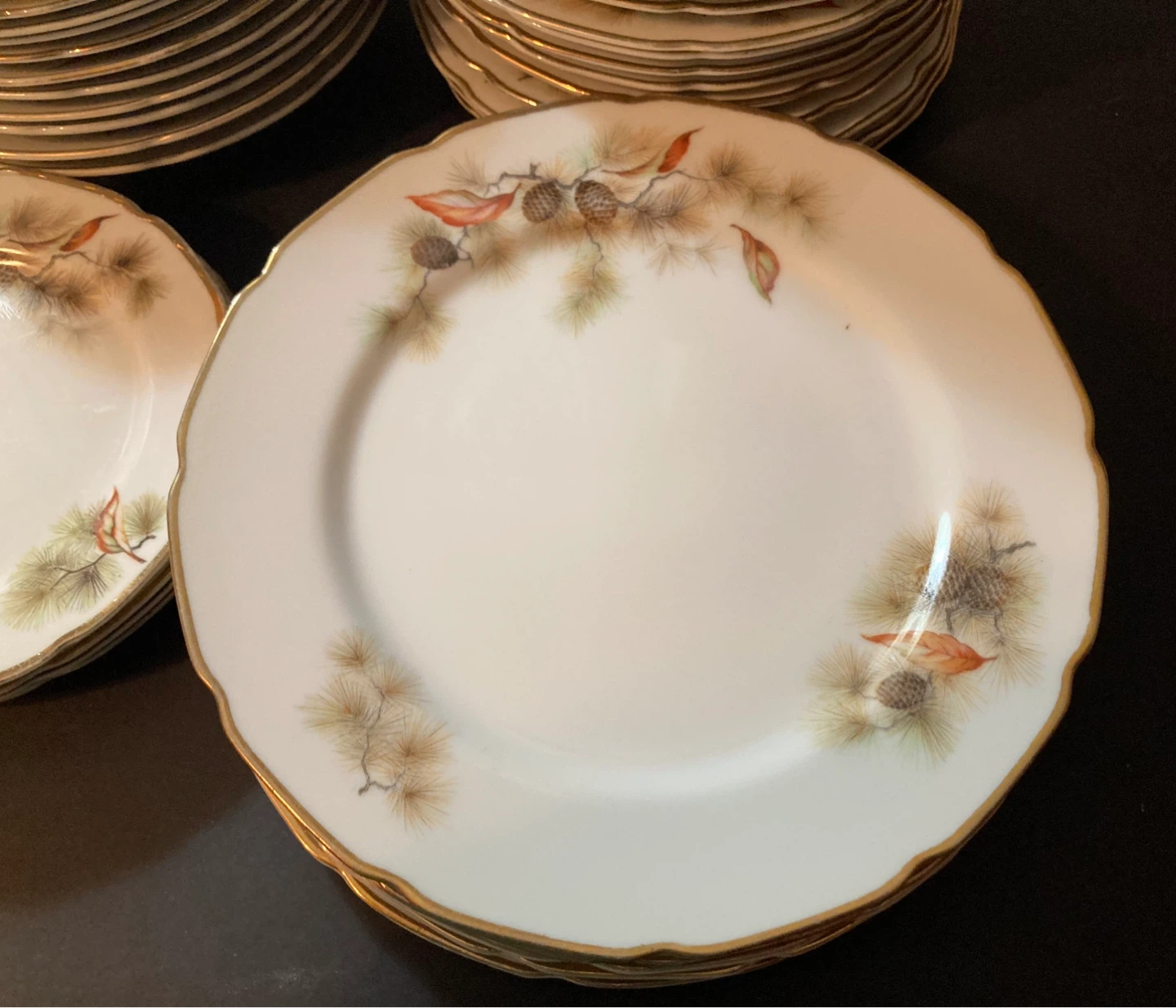 Pine Tree Fine Translucent China Plates - photo 5