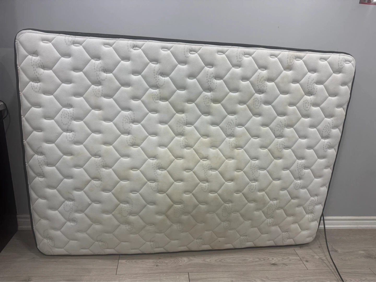 Sealy Mattress